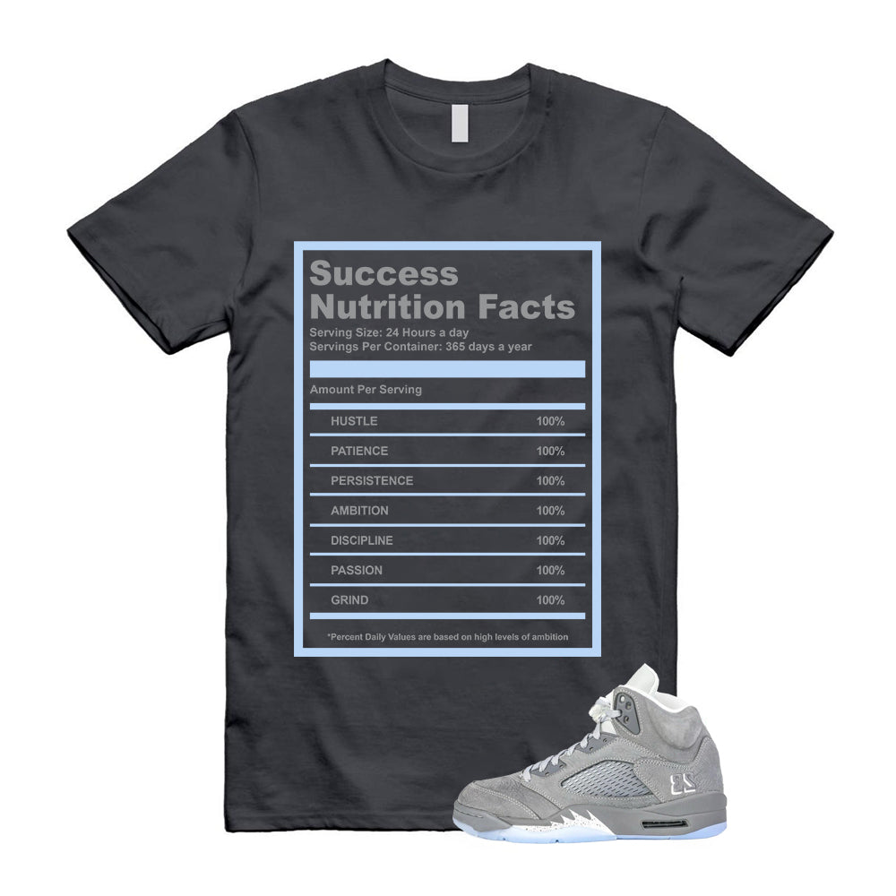 Air Jordan 5 Wolf Grey Shirt To Match Success T-Shirt 2026