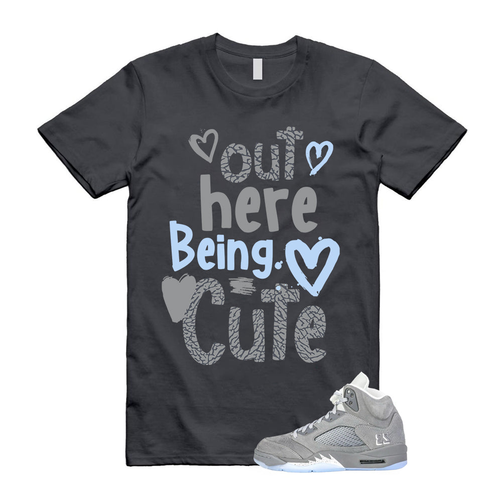 Air Jordan 5 Wolf Grey Shirt To Match Out Here Being Cute T-Shirt 2026