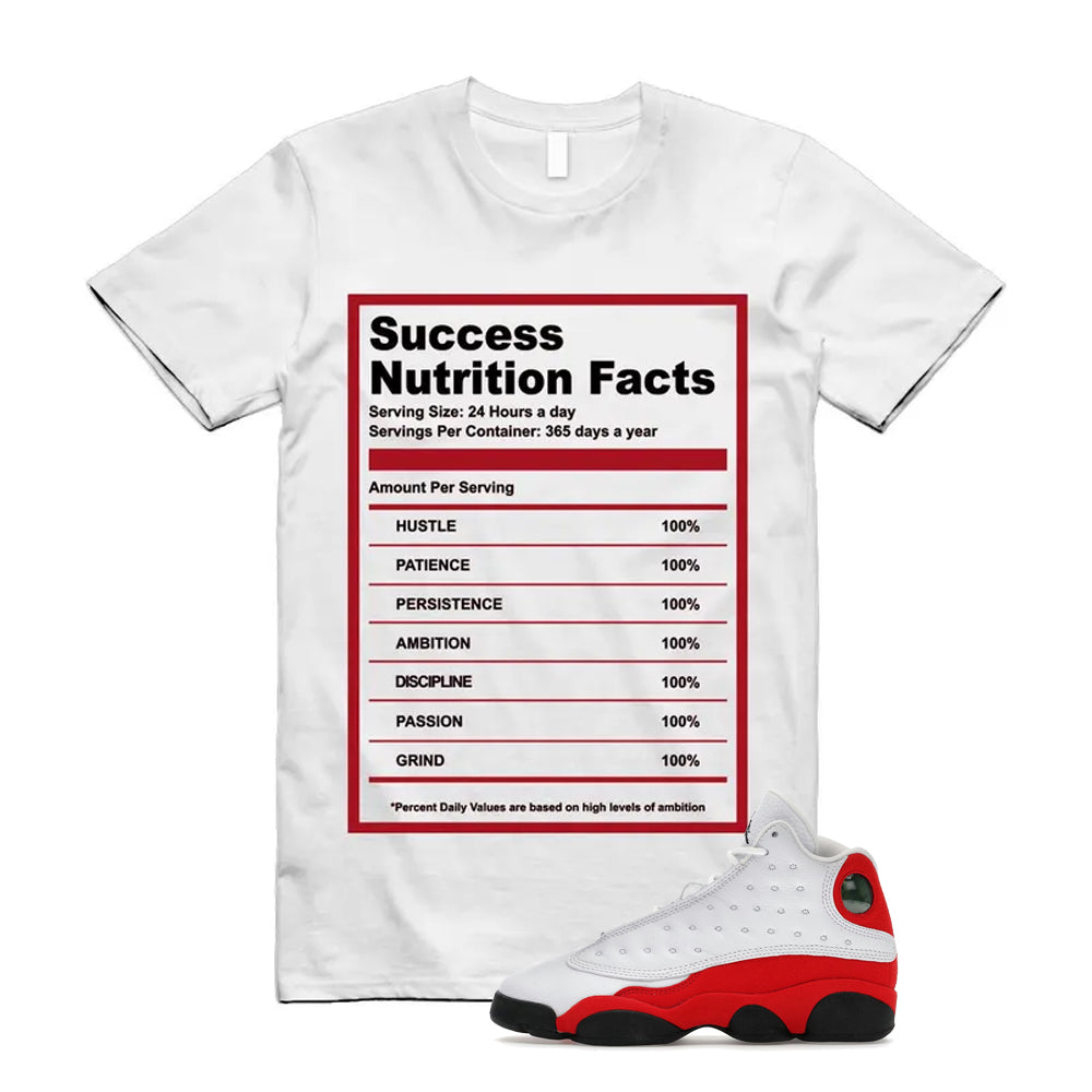 Air Jordan 13 Retro OG Chicago 2026 Shirt To Match Success T-Shirt