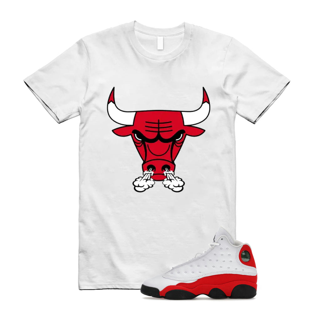 Air Jordan 13 Retro OG Chicago 2026 Shirt To Match Bull Sneaker T-Shirt