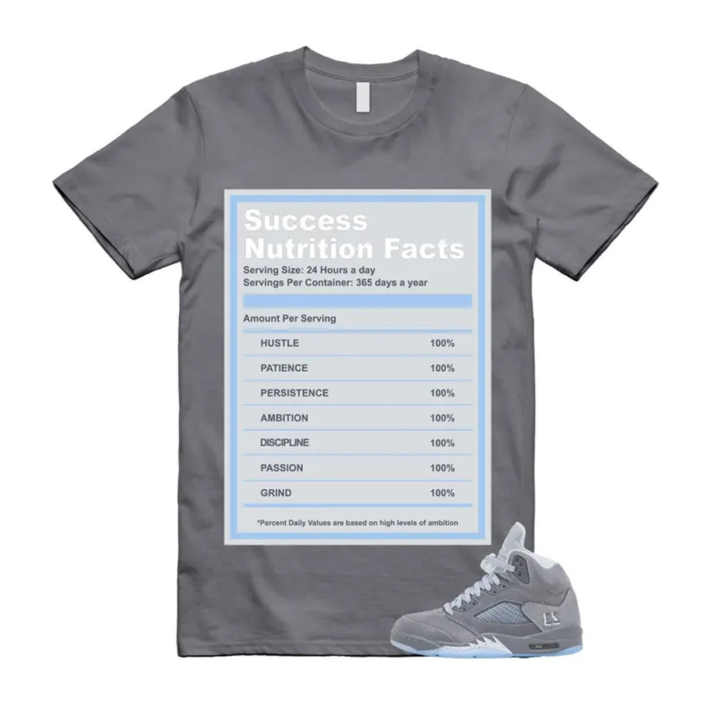 Air Jordan 5 Wolf Grey Shirt To Match Success T-Shirt 2026