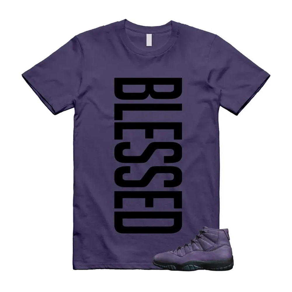 11 Mojave Canyon Purple Black Violet Dust Las Vegas 2025 Shirt To Match Vertbls T-Shirt