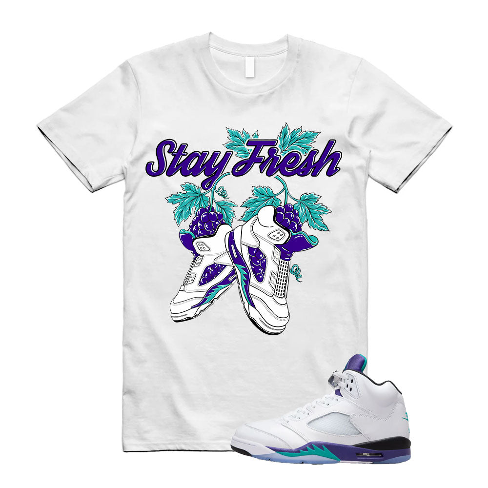 Jordan 5 Fresh Prince Shirt to Match Stay Fresh HQ7978-100 Match Sneaker Tee